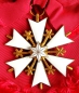 Orden vom Weißen Stern Estland 1 Model 1928-1940. Groß Kreuz