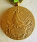 The Commemorative medal of the  War
