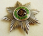 Ludwig Order. Breast Star of the Grand Cross