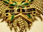 Orden vom Bade, Bruststern zum Großkreuz Militar in Gold