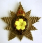 Order of Freemasons Breast Star Imperium et Libertas SILVER