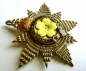 Order of Freemasons Breast Star Imperium et Libertas SILVER