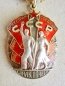 Order of the Badge of Honour (Typ.-3, Var-5, Art.-2 Nr.137341)