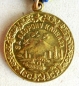 The medal For the Defense of the Caucasus (Var.-3)