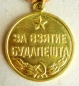 Die Medaille Für die Einnahme Budapests (Var.-3)