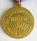 The medal For the liberation of Warsaw  (Var-2)