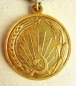 Die Medaille Für die Entwicklung von Virgin Lands (Var-1)
