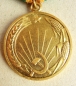 Die Medaille Für die Entwicklung von Virgin Lands (Var-2)