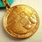 Die Medaille fr die Transformation der Non-Black Earth der RSFSR