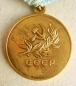 The medal For rescuing drowning (Var.-2)