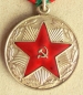 The medal For faultless service 20 jears (SIM troops Typ-2, Var-2)