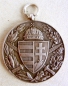 Hungarian World War Commemorative Medal 1914-1918