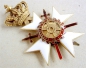 Order of Saint Catherine of Mount Sinai, Grand Cross Star,