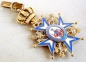 The Order of St. Sava Grand Cross, 1 model, 1 type, the Holy One in rose coat