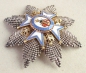 Der St.-Sava-Orden Großkreuz, 1 Modell, 1 Typ, der Heilige im roten Mantel
