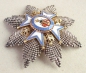 The Order of St. Sava Grand Cross, 1 model, 1 type, the Holy One in red coat