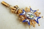 The Order of St. Sava brest star, 3 model,  the Holy One in green robe