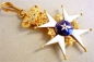 The Royal North Star Order Grand Cross Type II 1871-1919 GOLD