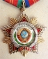 Order of Friendship of Peoples (Nr.5516)