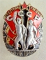 Order of the Badge of Honour (Typ.-2,Var-3,Art.-2 Nr.25636)