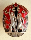 Order of the Badge of Honour (Typ.-2,Var-2,Art.-3 Nr.14357)